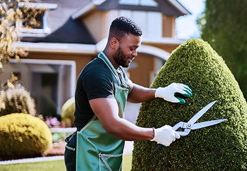 Serviço de Jardinagem